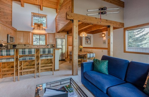 Warm Springs Condo | Smokey Plaza Condo 1 - Cozy Mountain Abode with Scenic View