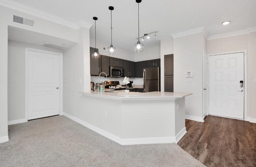 South Central Houston Apartment | Solatair Oasis Smart Hub with Free Parking, Pool&Gym