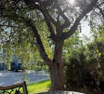 North Central Westminster House | Sunny and Spacious, Hottub, Piano, Guitars, Fenced Yard, Pets Welcome, LGBT Friendly