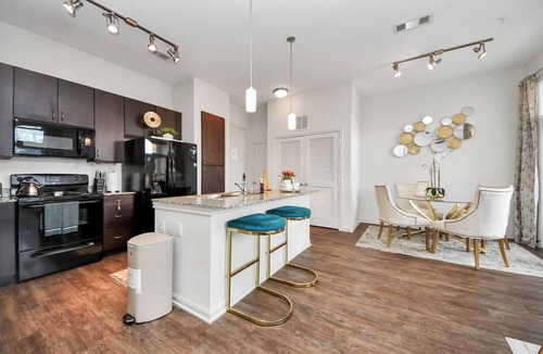 Braeswood Place Apartment | The Alexan. Walk to NRG Stadium. TX Med Center. Downtown