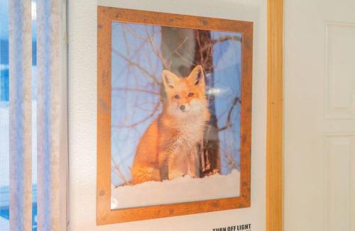 North Pole House | The Bear Den Run Of Ermine