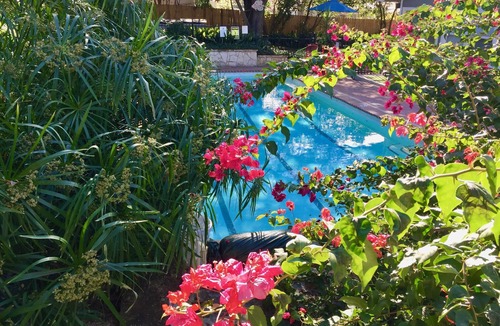 Allandale House | The CHA CHA CHA is a colorfully decorated home in a desirable neighborhood.