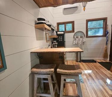 Elizabethton House | The Hidden Hemlock Tree House
