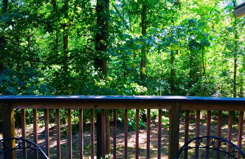 Bella Vista House | The Melanie House at Bella Vista - 7 miles to the Bentonville Square