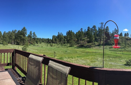 Pagosa Highlands House | The National Forest is your backyard!