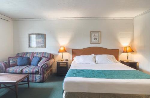 Spencer Hotel | The Way Inn by OYO Spencer