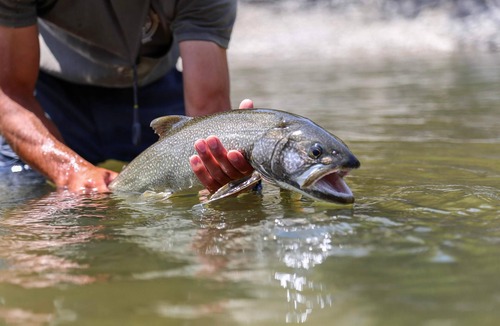 Chama Cabin | Trout Stalker Ranch Beck Cabin - Offgrid