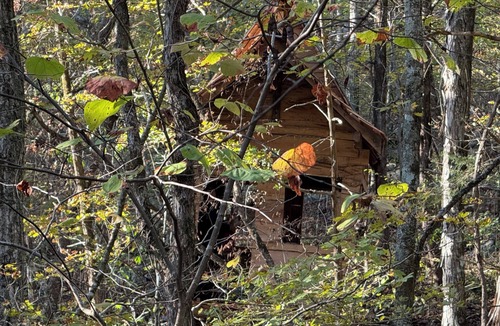 South Pittsburg Cabin | Unplug and hide from the world in this rustic South Pittsburg cabin