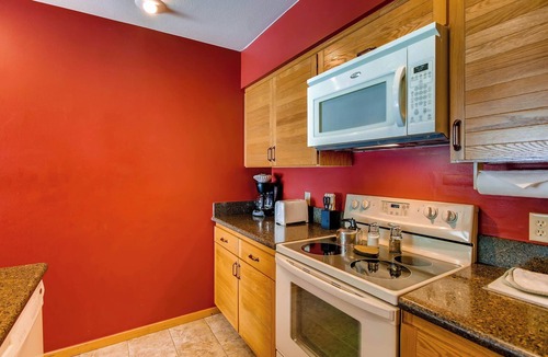 Crested Butte Condo | Updated 1 BR Condo - Ski-in/Ski-out Access by RedAwning