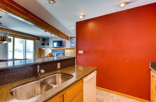 Crested Butte Condo | Updated 1 BR Condo - Ski-in/Ski-out Access by RedAwning