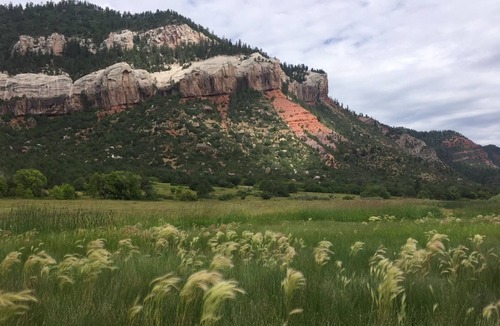 Durango House | Views for Miles, Starry Starry Nights, Close to Town and Pet-Friendly
