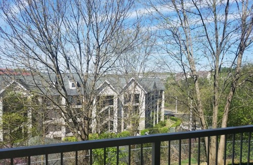 Branson Condo | Walk-In ~ Clean ~ 2 Kings ~ Indoor Pool ~ Hot Tub