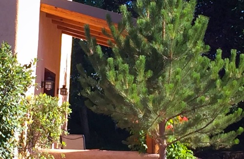 Taos House | We Are 20 Miles From The Taos Ski Valley And 1.25 Miles From The Center Of Town.