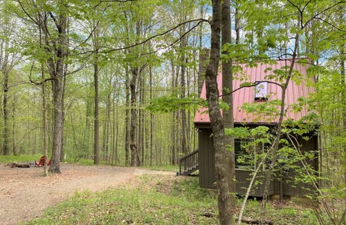 Meadows Of Dan Cabin | Wildcat Forest Cabin by Buffalo Mountain Getaway