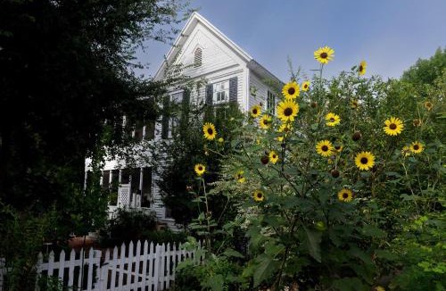 Bastrop House | Yerba at Bastrop