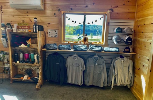 Scio Cabin | Yosemite/Lakeview -Pet Friendly- 4-6 Person Midsize Cabin