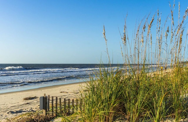 213 Sea Cloisters-Oceanfront condo-just steps to beach