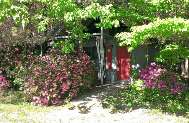 Bear Paw Cottage (#6 King)Adorable;Hot Tub;Pet Friendly;2 Adults/2 Children Max