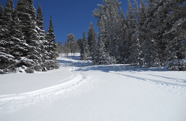 Powder Mountain Slopeside Accommodation 