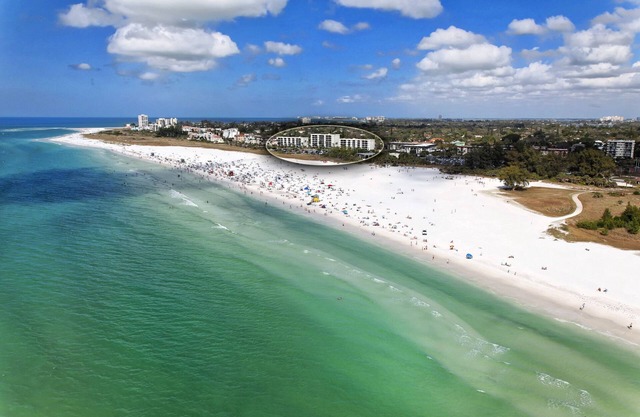 Cs Sarasota 