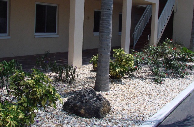 Condo fully furnished 2bdrm/1bath. Walk or trolley to beaches, dining & fun.