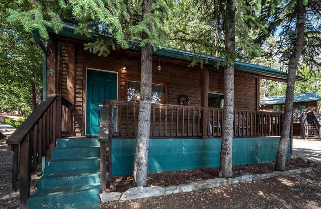 Cozy Bear 8, 1 BR, Fireplace, Midtown, Grill, Sleeps 4