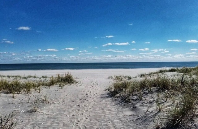 Cozy Brigantine beach house - 2nd floor of duplex - near beach and town!