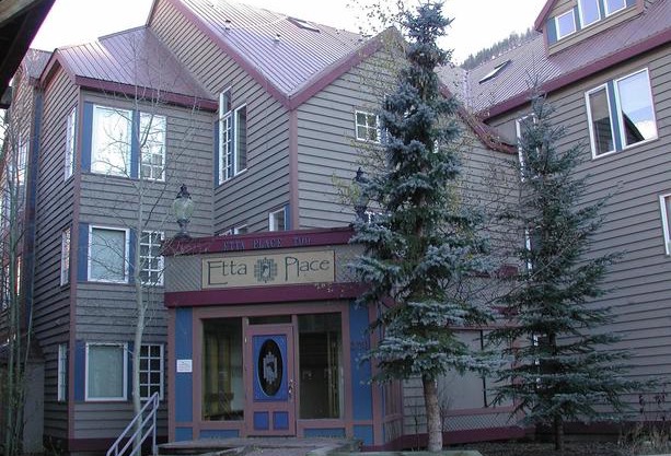 Etta Place by Telluride Alpine Lodging