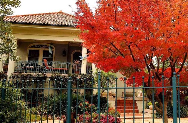 Laurel Bed and Breakfast