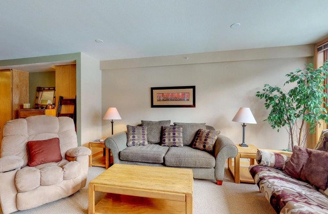 Liftside Condominiums 306