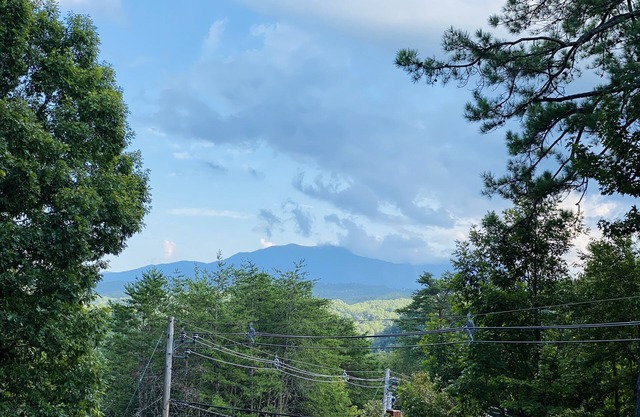 Deer Ridge Mountain Resort 
