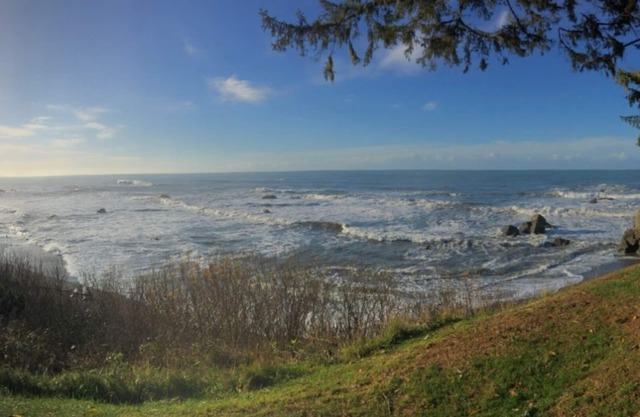 Sexton Shores; Stunning Oceanfront home! Deeded beach access and dog friendly.