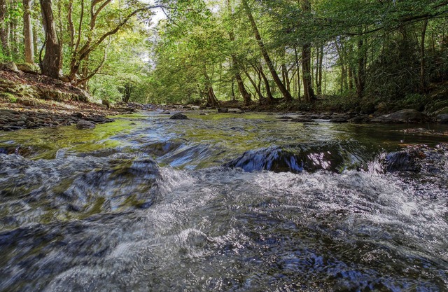Whispering Creek 