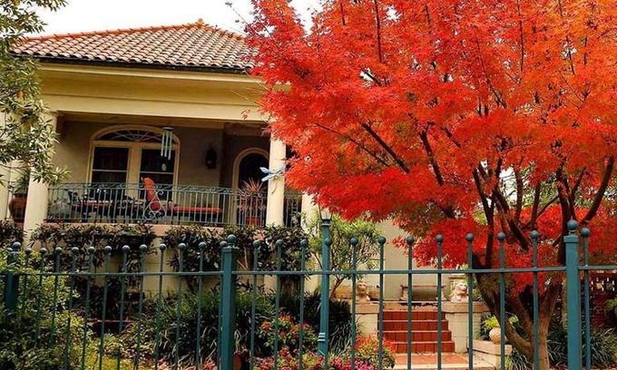 New Orleans Bed & Breakfast | Laurel Bed and Breakfast