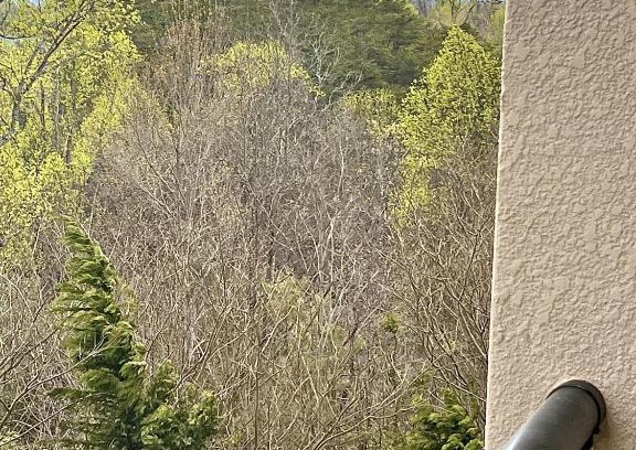 Pigeon Forge Apartment | MVC - Unit 5405 - The WilderNest