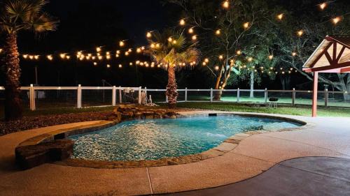 Pearland House | The Blue Oasis - Palm & Pool Retreat