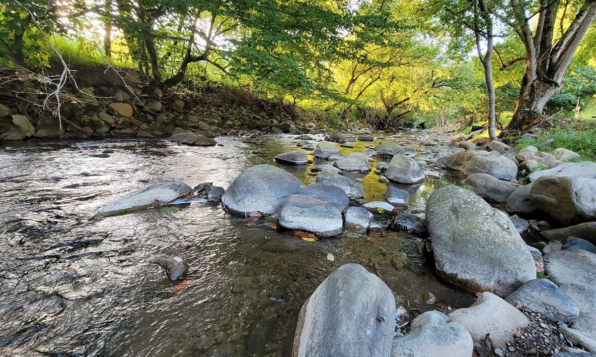 Del Rio Cabin | Enjoy Mother Nature and Spring at The Spot!