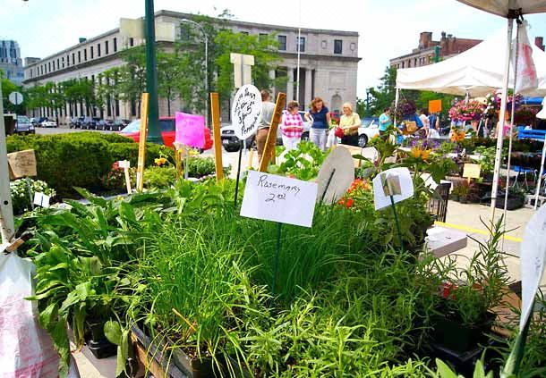 Photo of Others in Downtown Syracuse