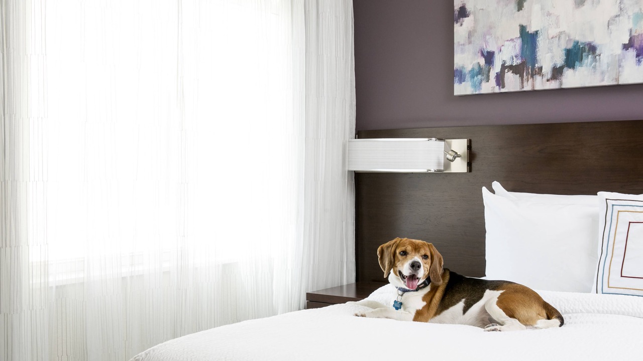 Photo of Bedroom in Downtown West Palm Beach