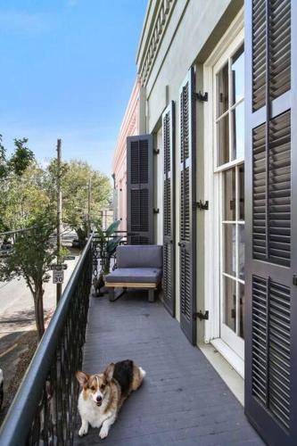 Photo of Others in Lower Garden District