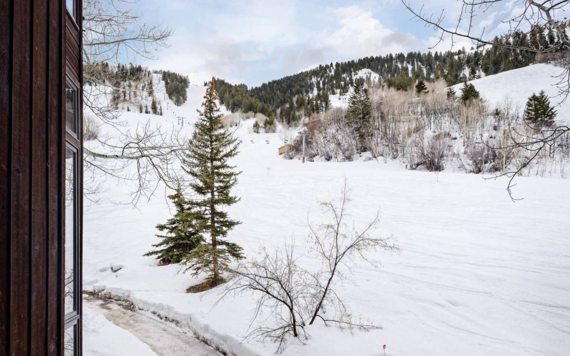 Photo of Others in Aspen