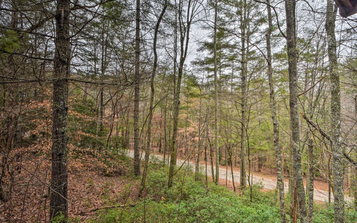 Photo of Others in Blairsville