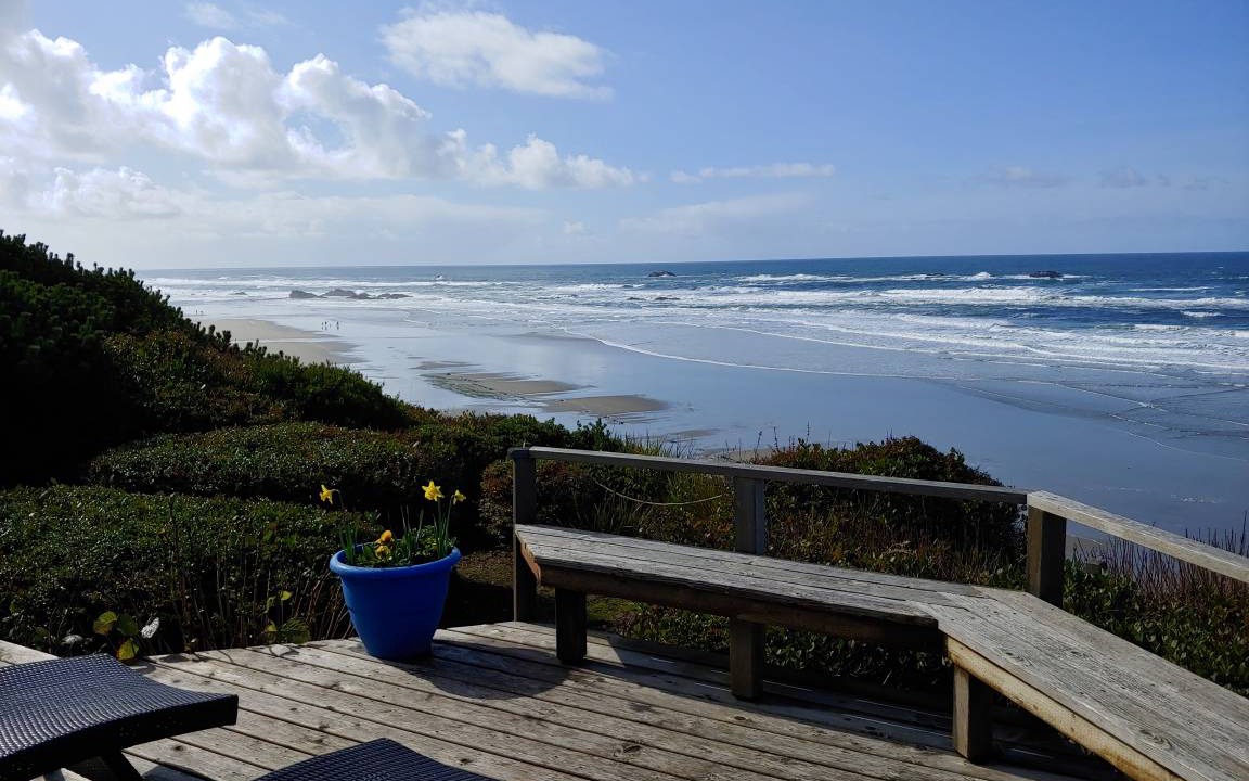 Photo of Others in Seal Rock