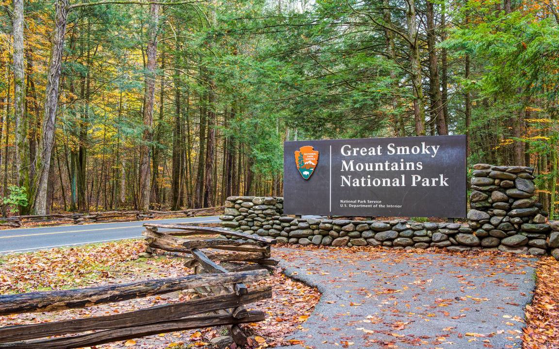 Photo of Others in Black Bear Falls