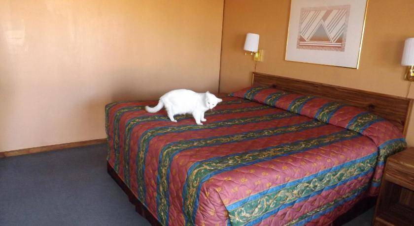 Photo of Others in Tucumcari