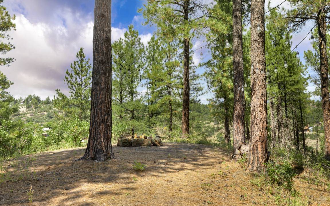 Photo of Others in Pagosa Springs