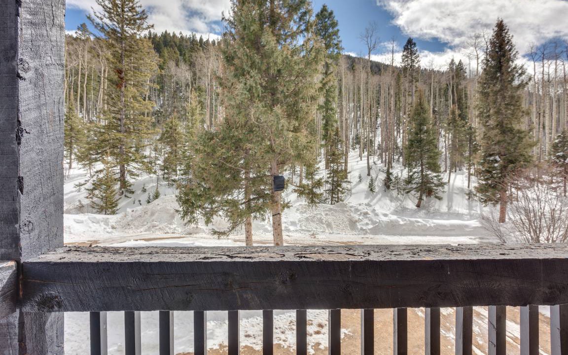 Photo of Others in Taos Ski Valley
