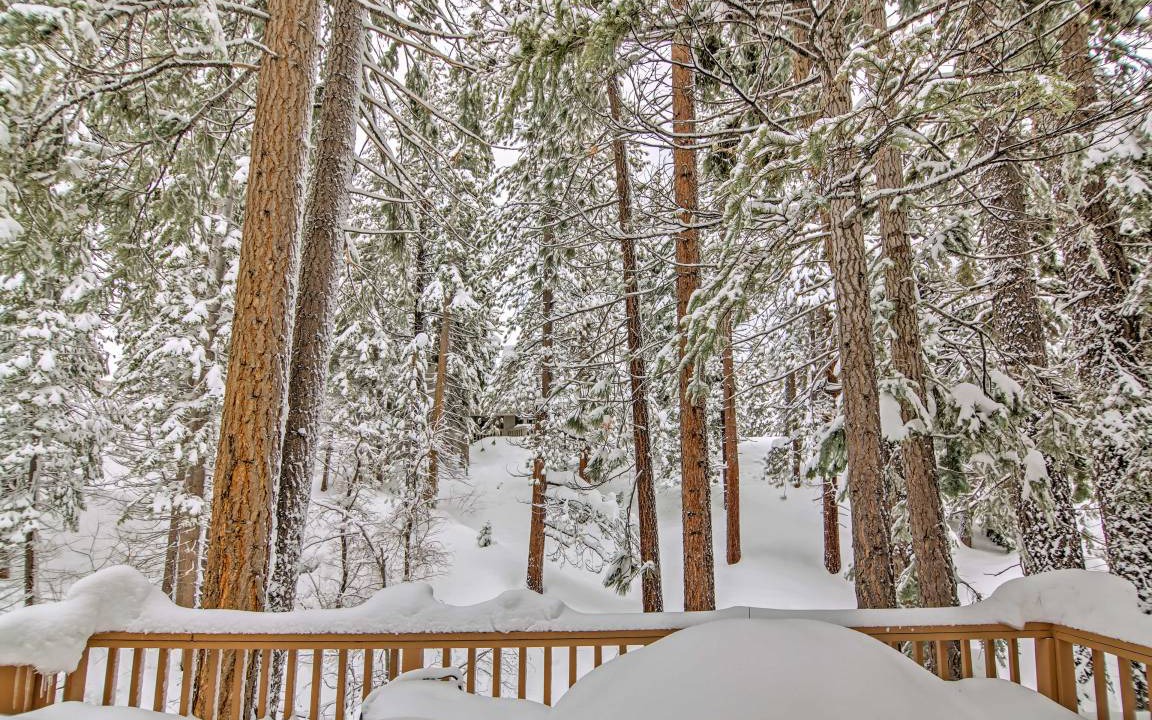 Photo of Others in Incline Village