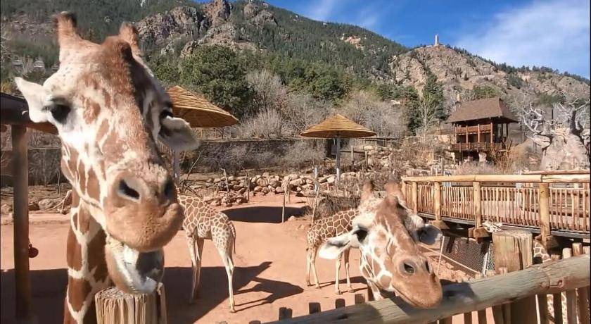 Photo of Others in West Colorado Springs
