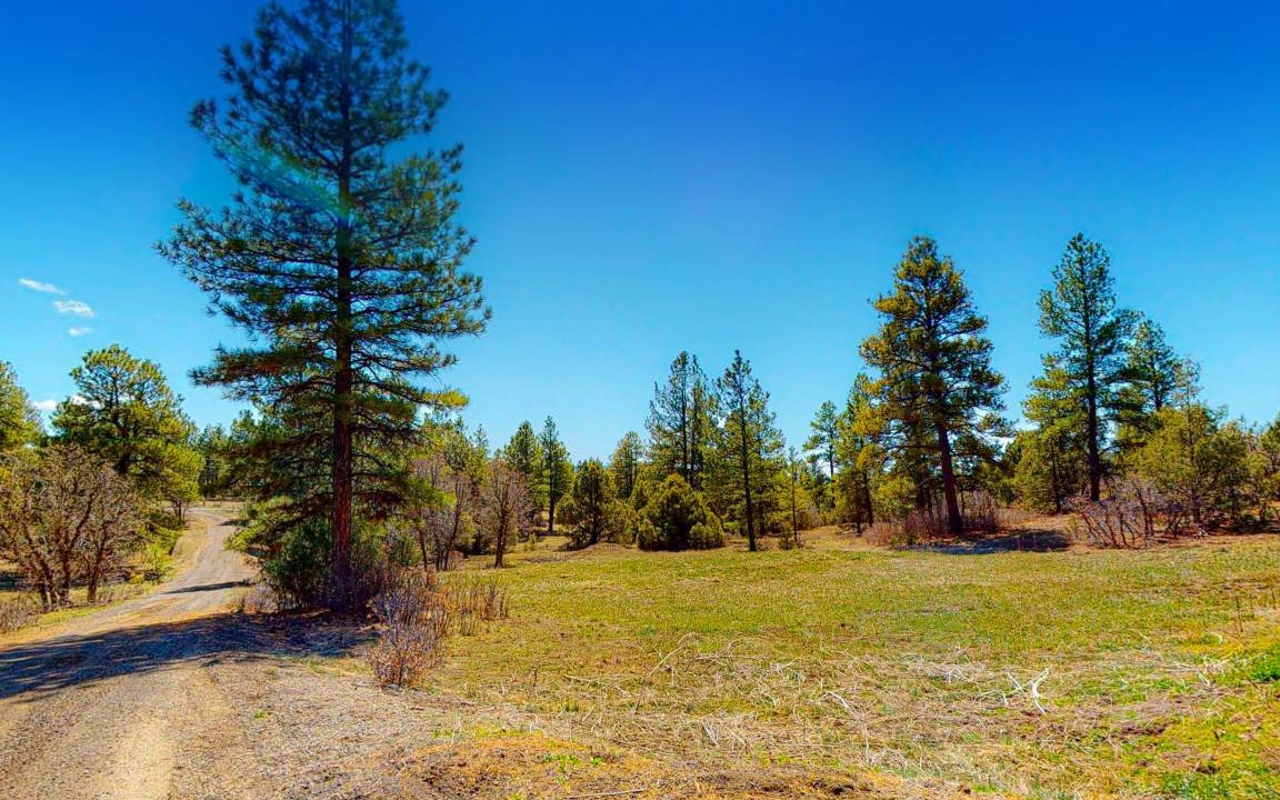 Photo of Others in Pagosa Meadows IV